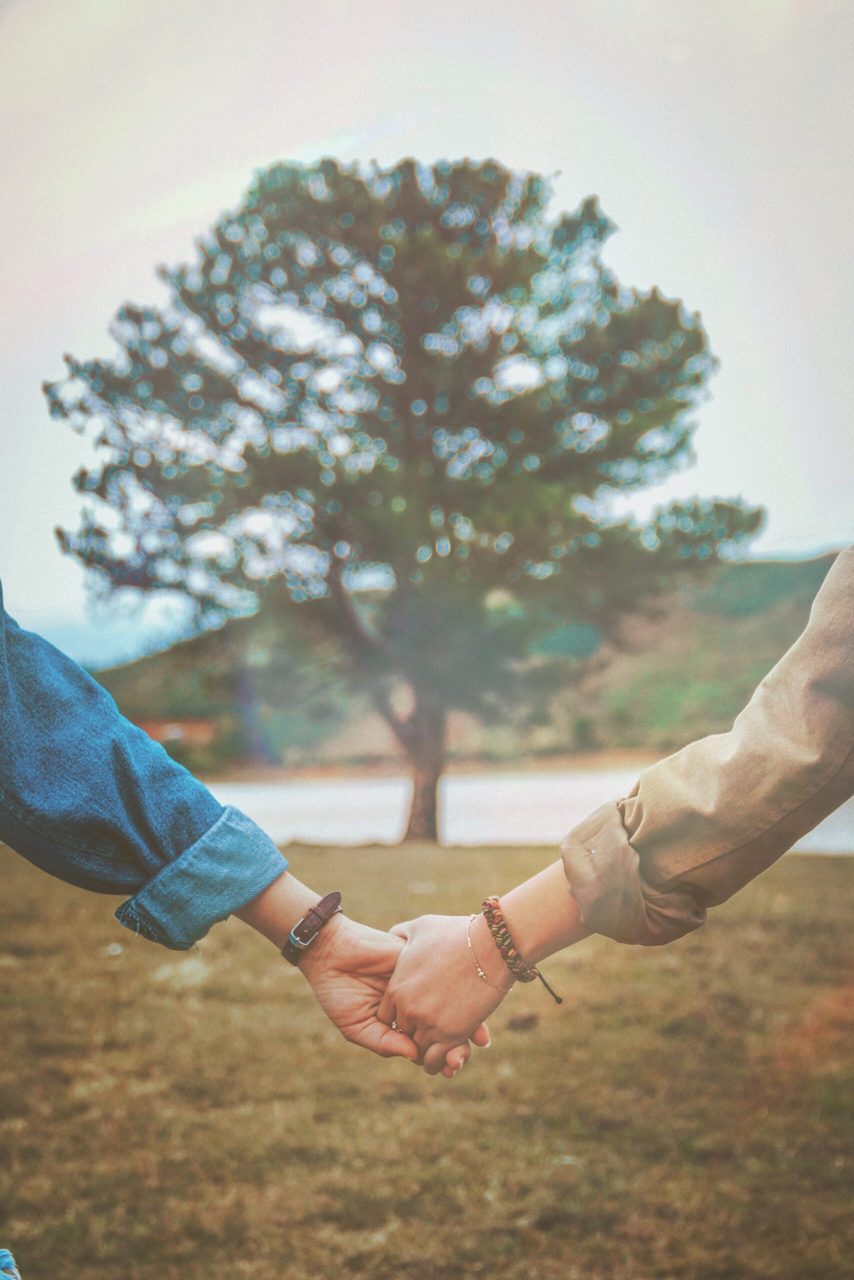 Two people holding hands in front of a tree