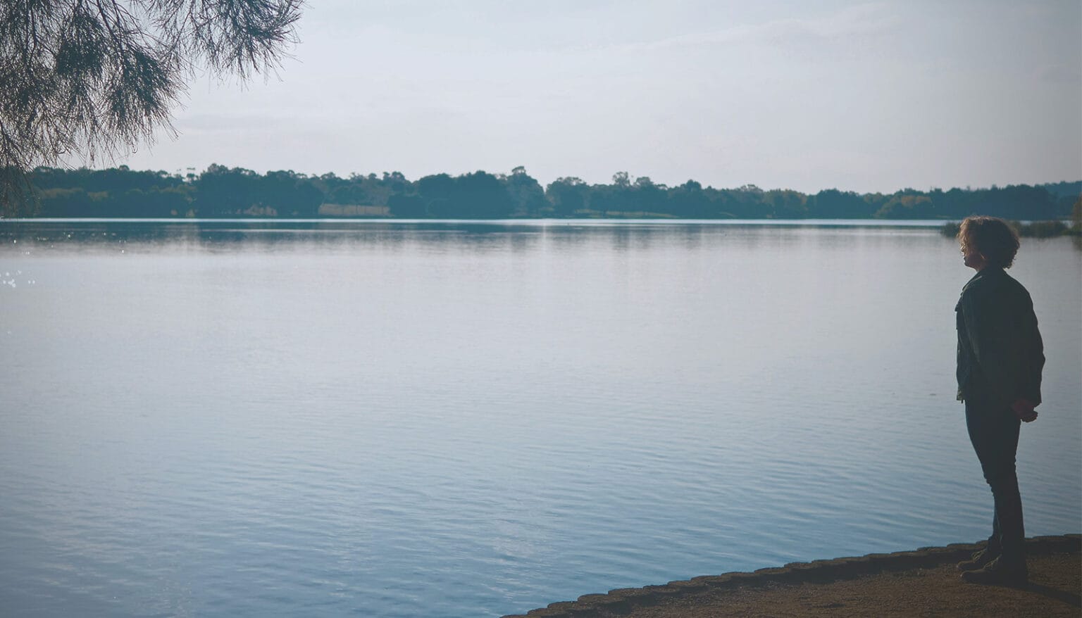 My Last Wishes Death Funeral